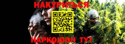 ECSTASY Будённовск