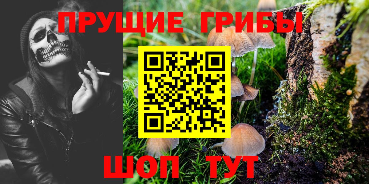 Псилоцибиновые грибы ЛСД Кирово-Чепецк