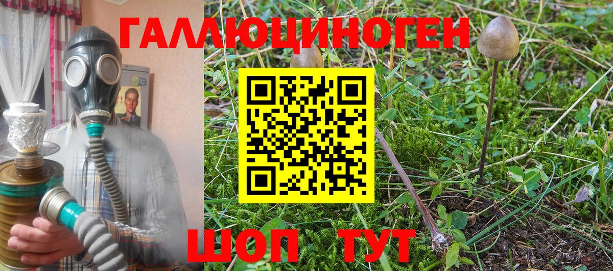 Кирово-Чепецк  Псилоцибиновые грибы мухоморы  Вход с VPN 